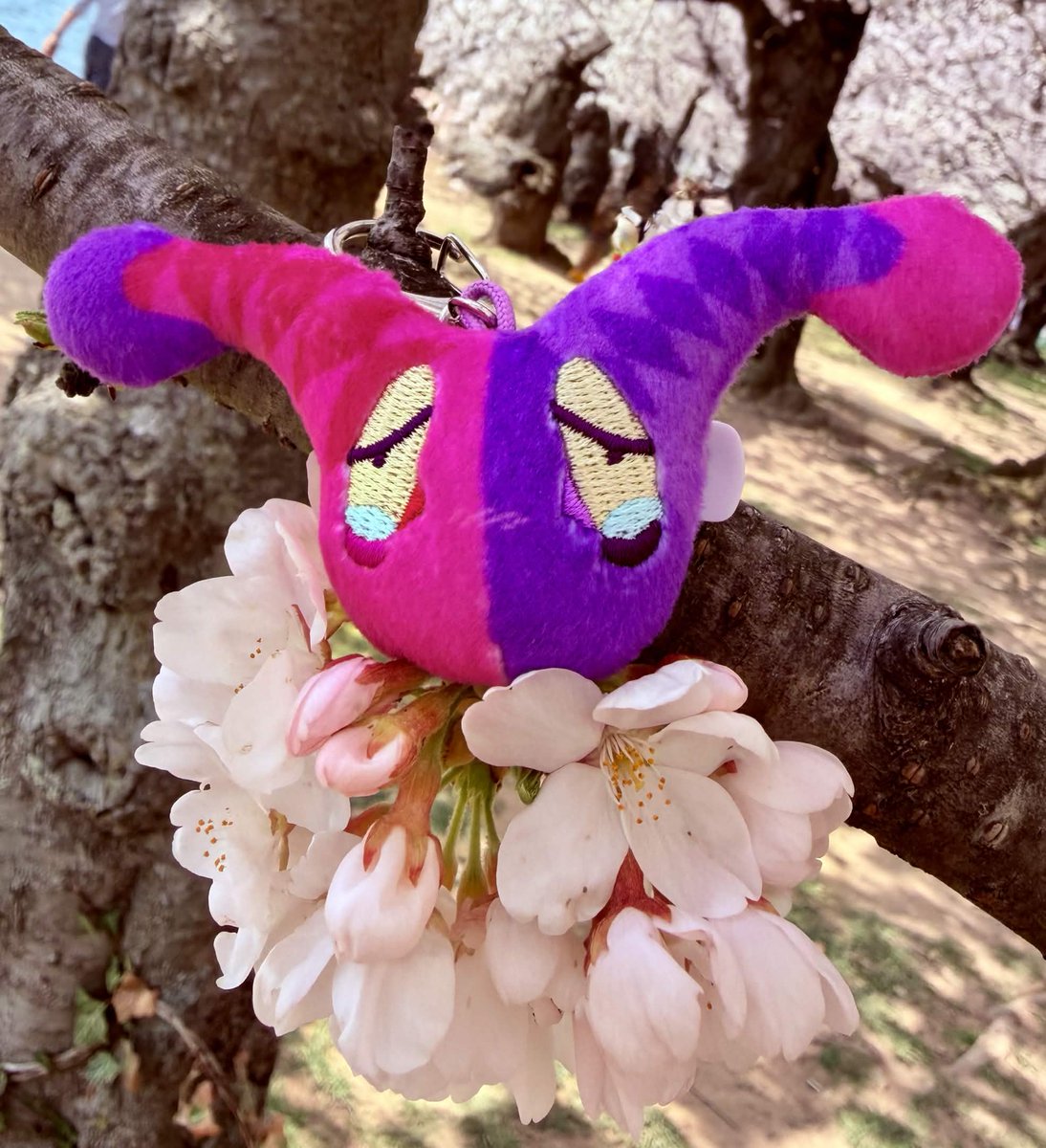 kismet nightingale 🎇⛓️🔅⭐ tweet media