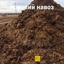 drunky cat tweet media