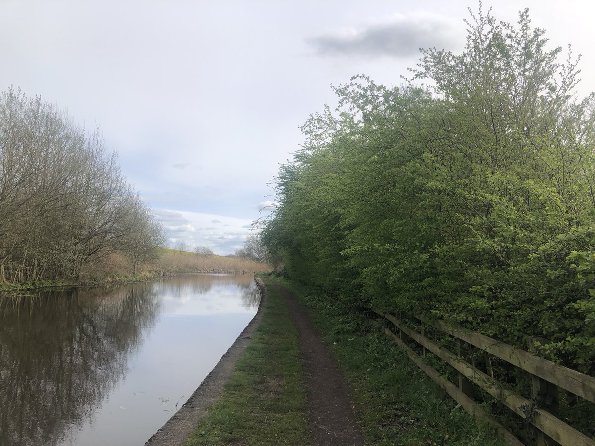 SWANWATCHUK tweet media