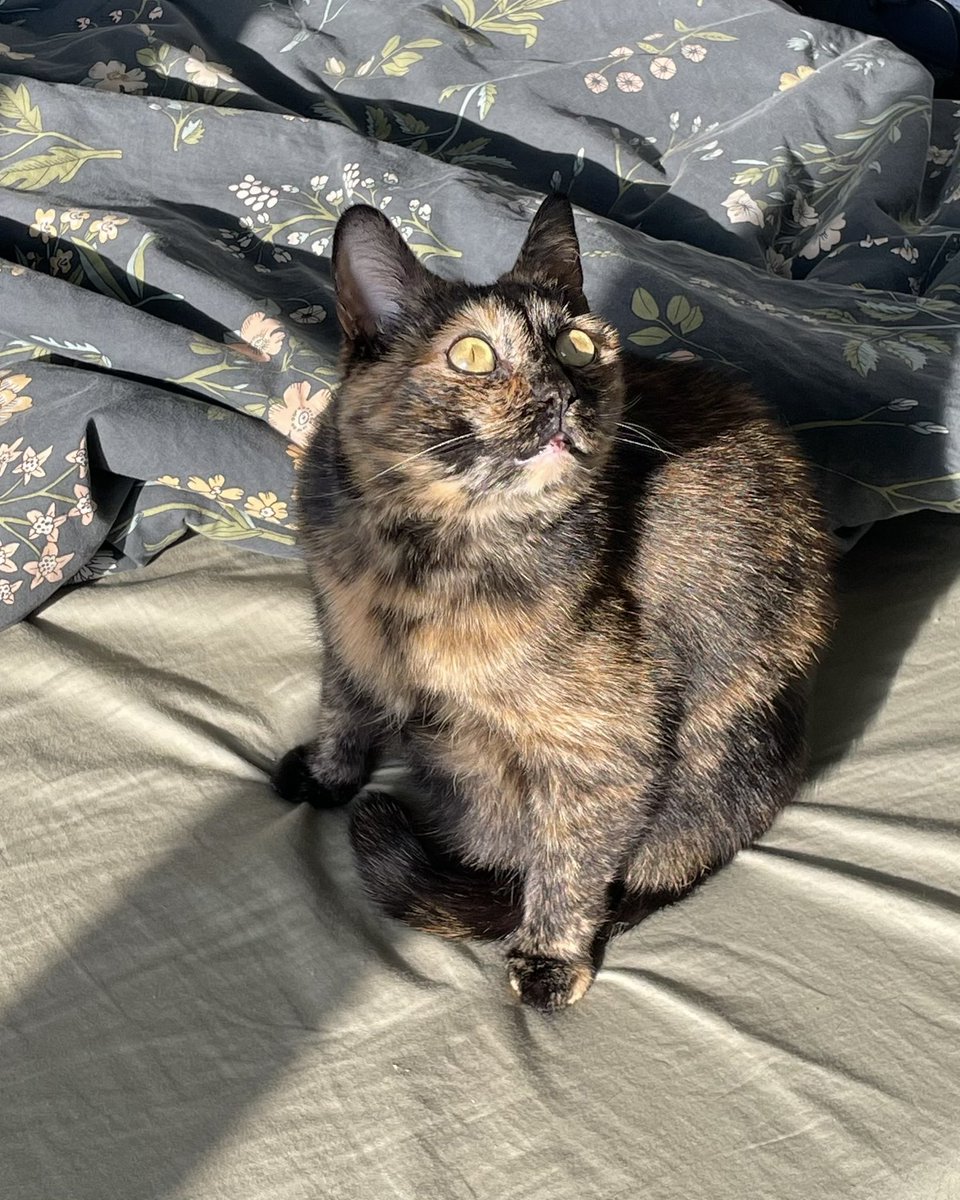 Peanut Butter 🤪 tweet media