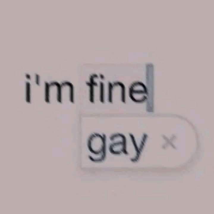 Haru💫 tigerlynx's cat 🐈⬛ tweet media