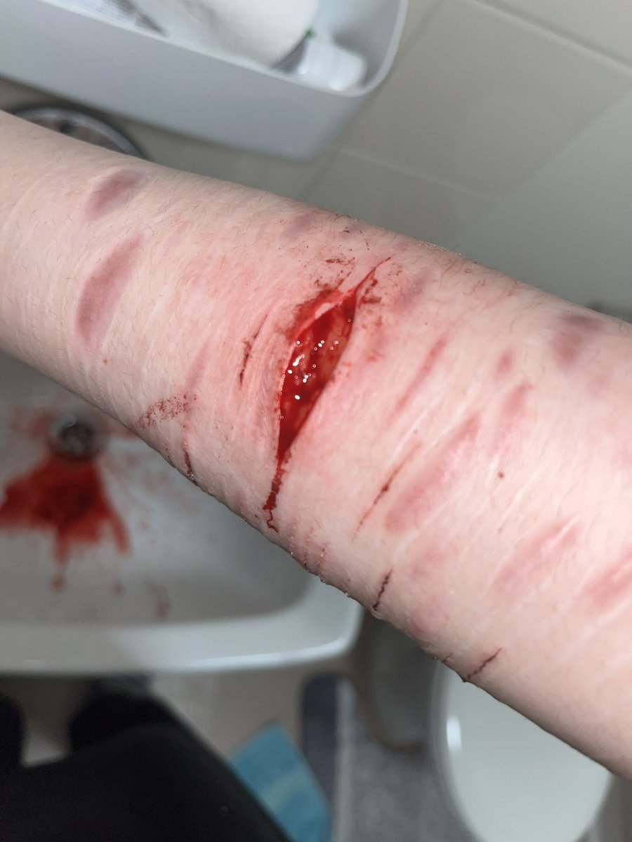 daniel hentschel of shedtwt tweet media