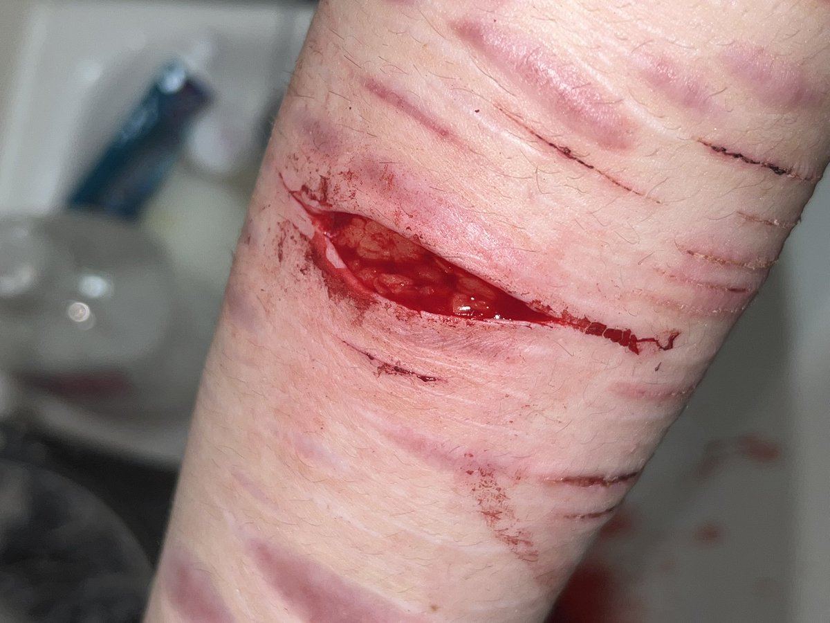 daniel hentschel of shedtwt tweet media