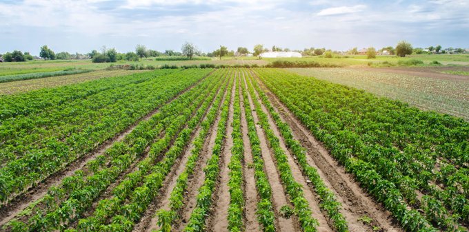 $NOP.CN $NOPFF Eyes Scalable Supply of Organic Fertilizer to Support Growth in Organic Agriculture ibn.fm/b2bOi #OrganicAgriculture #AgriTech #SustainableFarming #GreenInvesting