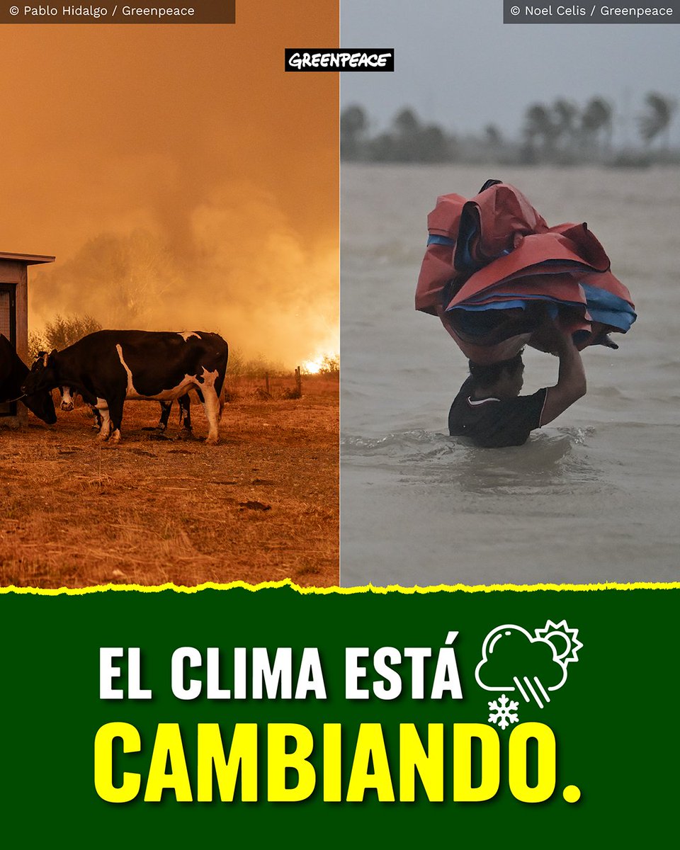 Greenpeace Colombia tweet media