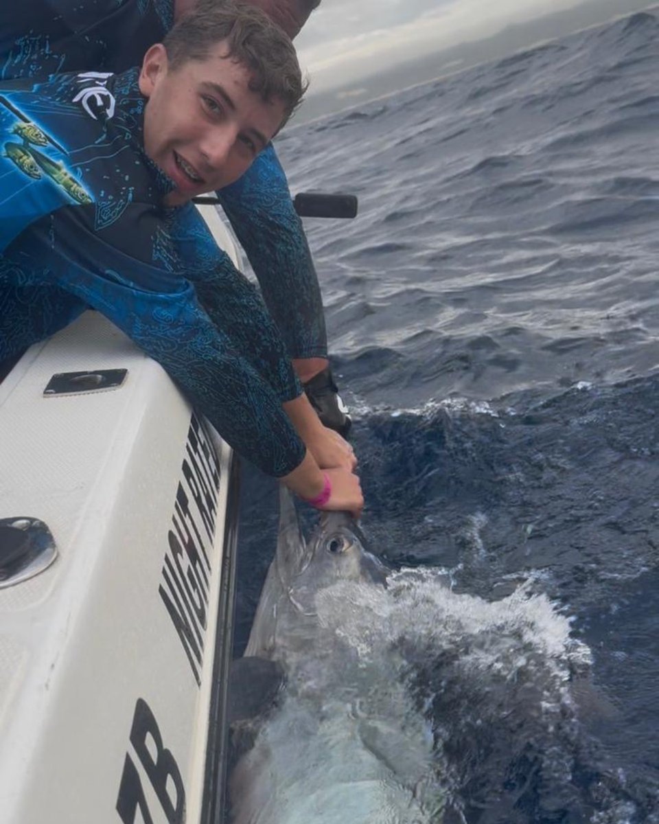 Billfish Report tweet media