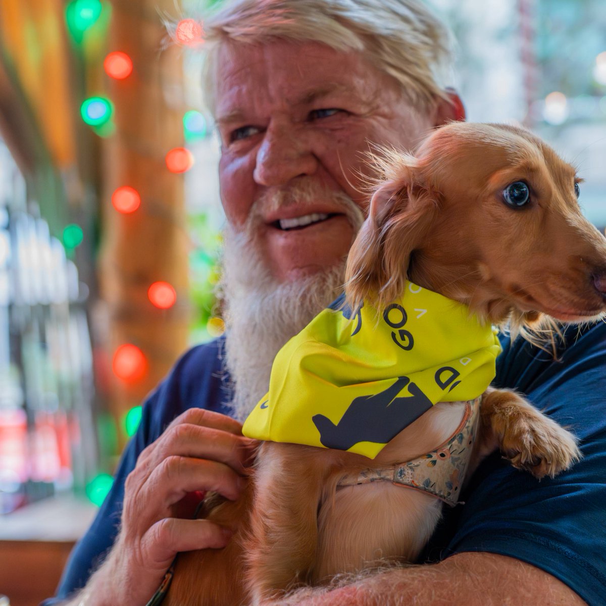 Good Boy Vodka tweet media