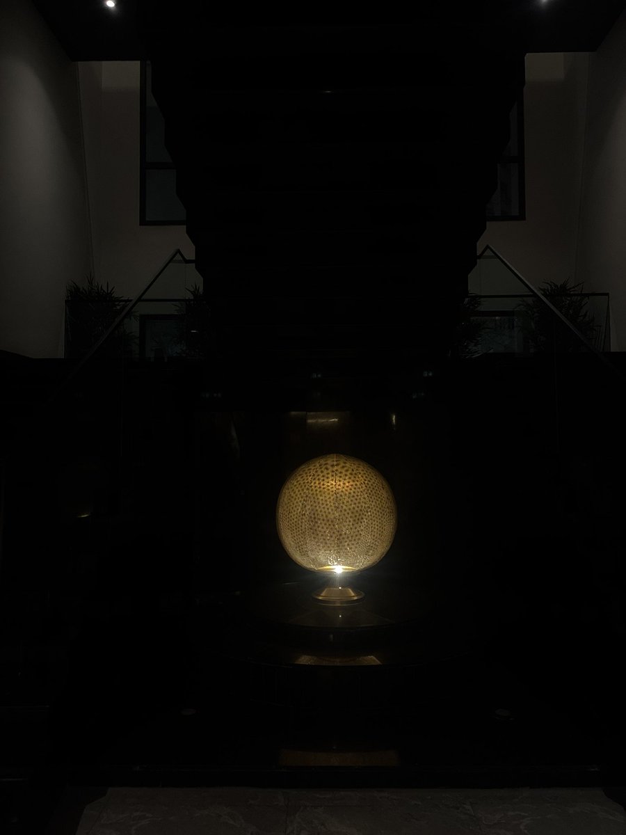 Regius_Pax tweet media