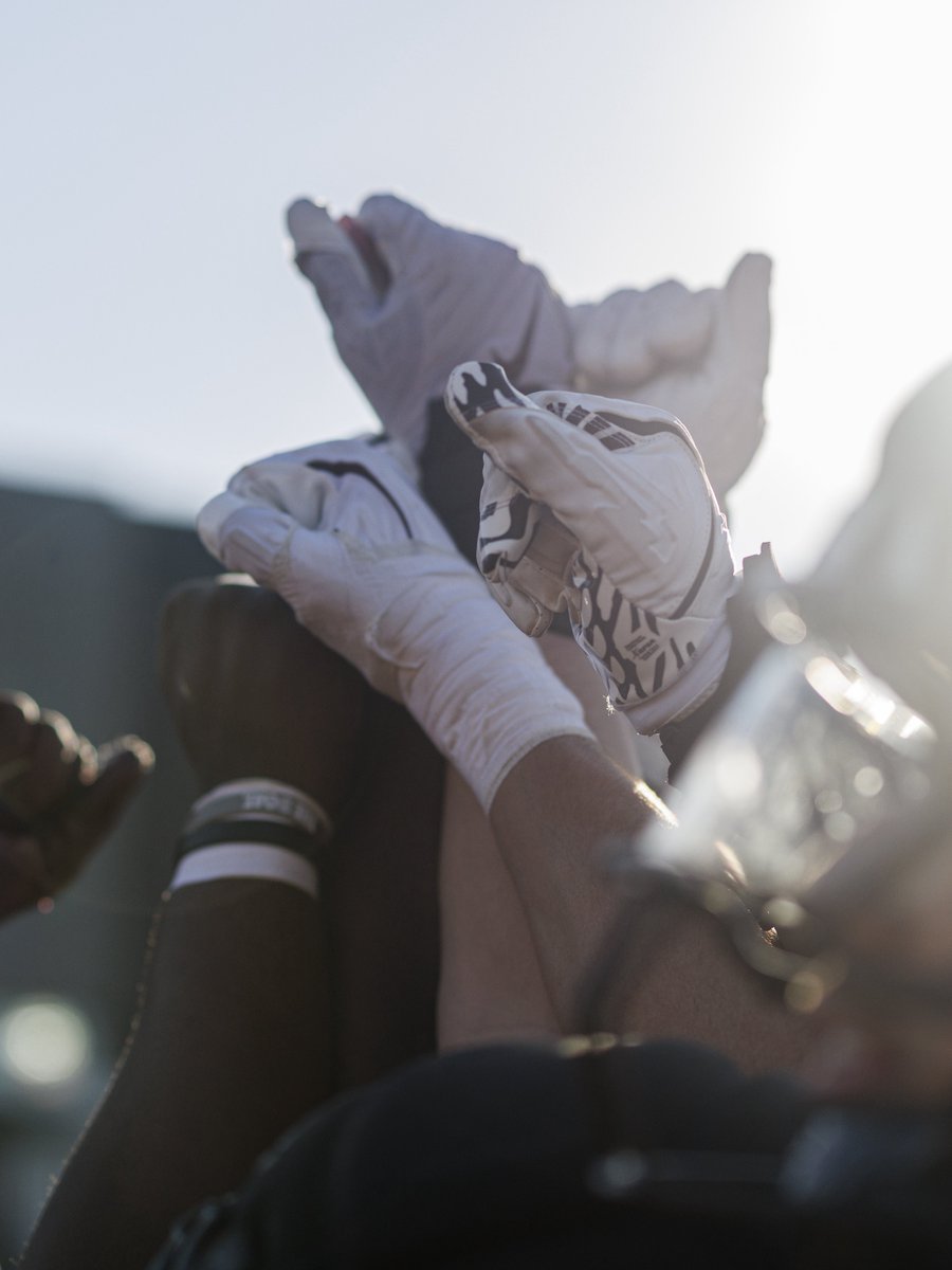 Minnesota Football tweet media