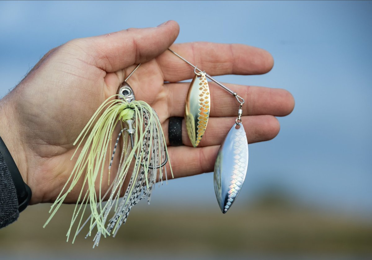 Premium quality from top to bottom. ⚡️ The Select Series spinnerbait doesn't cut corners we used only the best components to make sure this bait stands up to the biggest bass in the lake.

#buckeye #buckeyelures #fishing