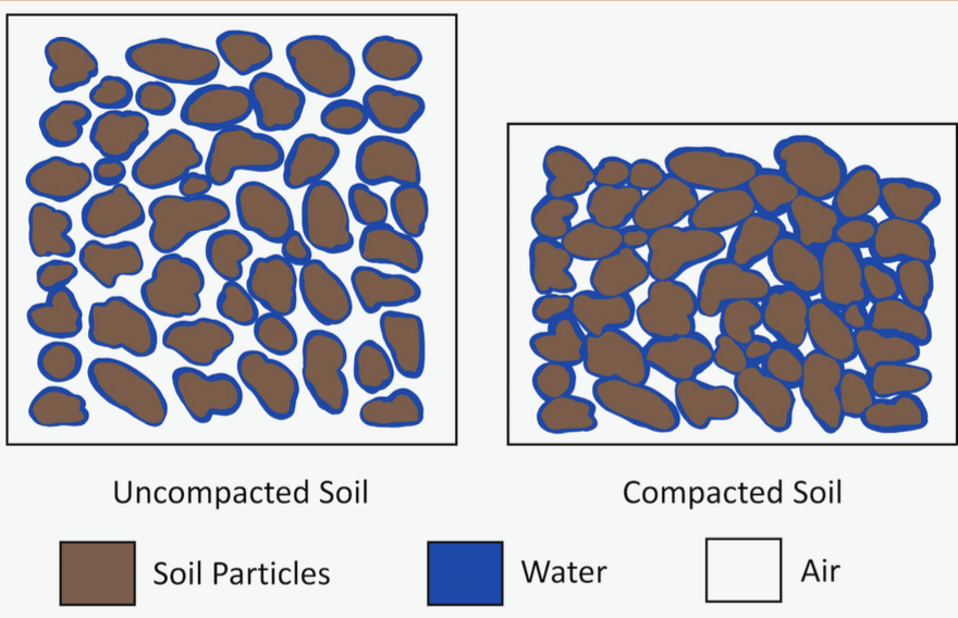 Canadian Society of Soil Science tweet media