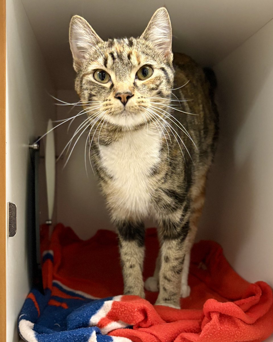 Fairfax County Government 🇺🇸 tweet media