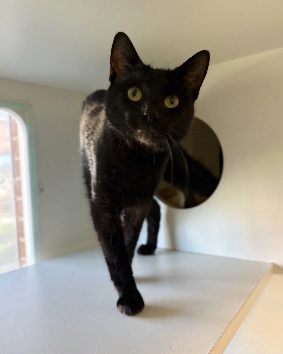 Fairfax County Government 🇺🇸 tweet media