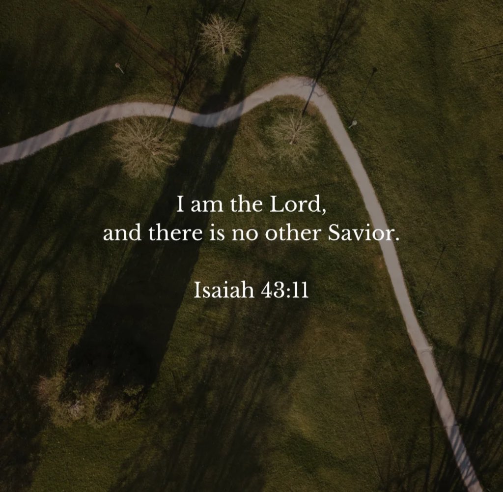 Holy Bible tweet media