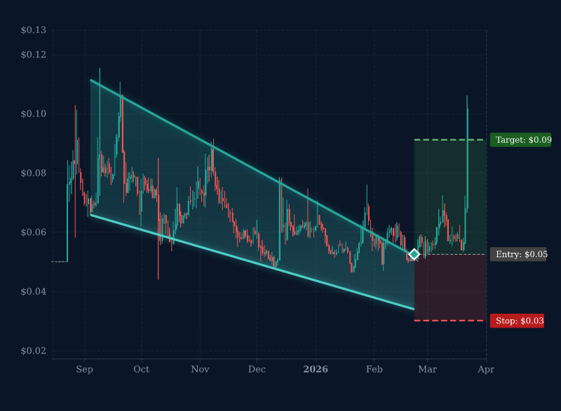 Market Masters tweet media