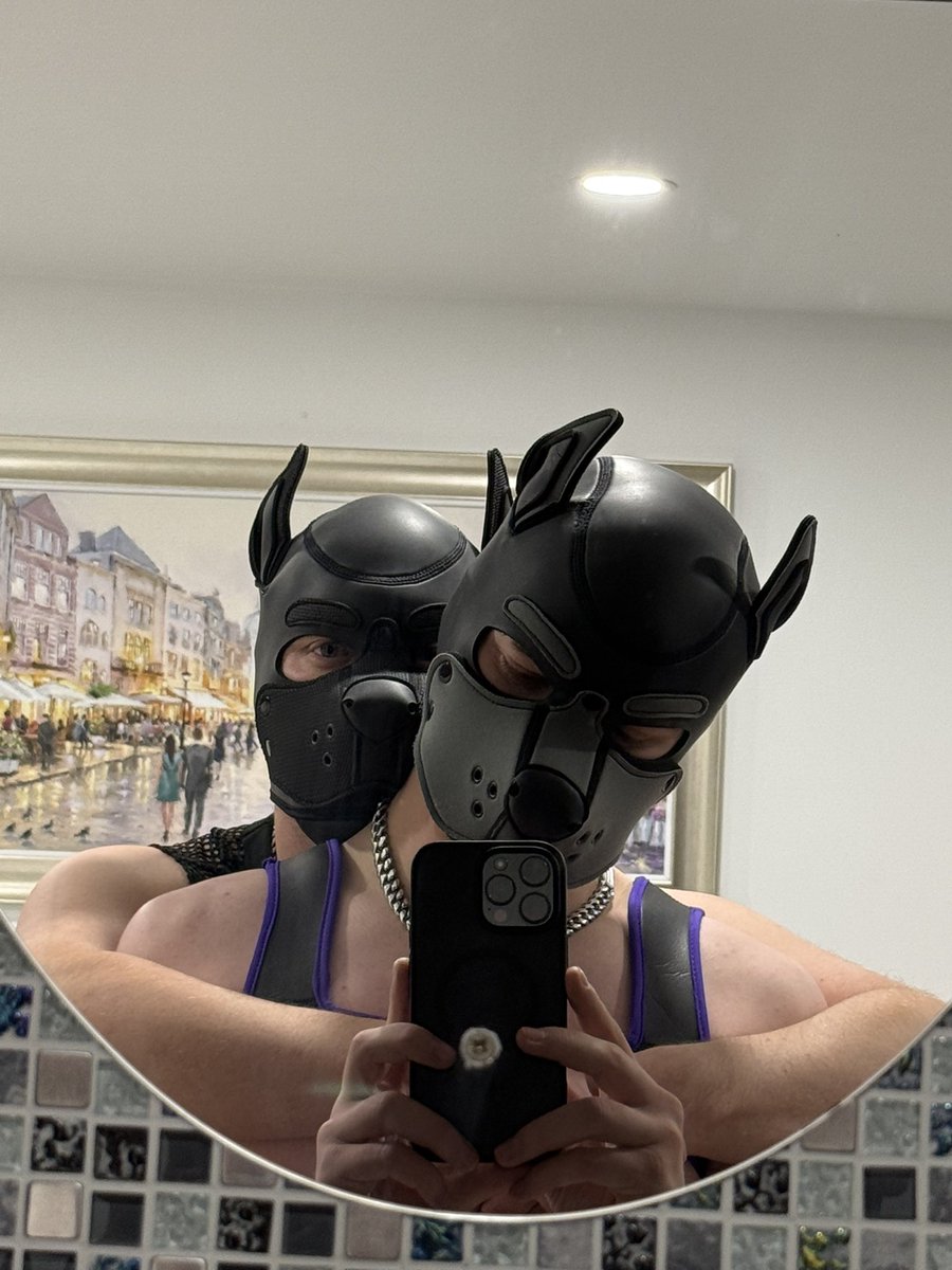 Pup_Comet tweet media