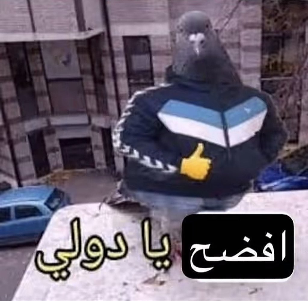ميمي tweet media