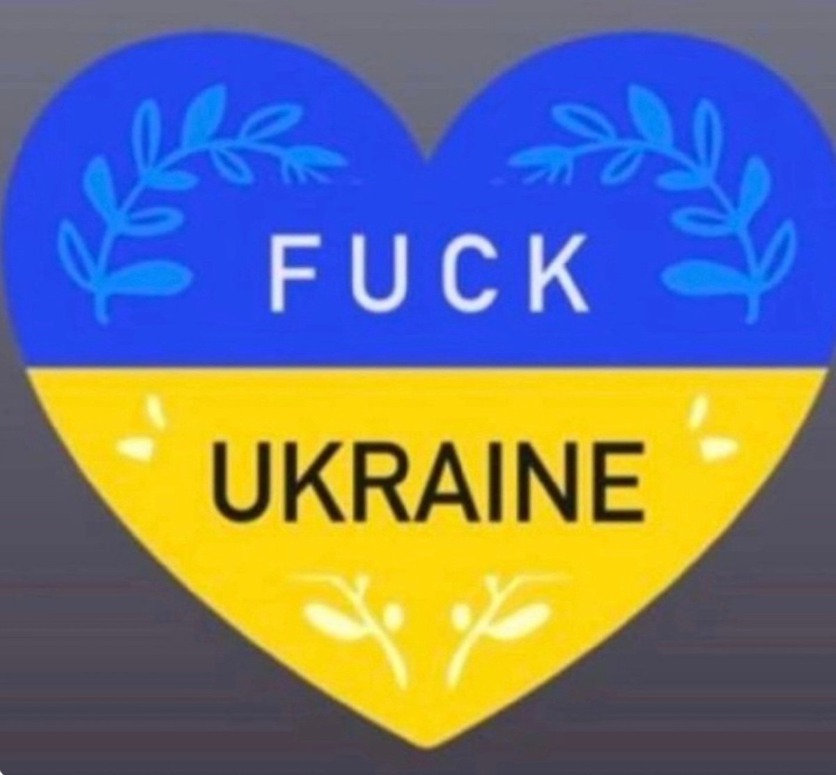 The Dutch Connection 🇹🇭🇷🇺🇮🇱 tweet media