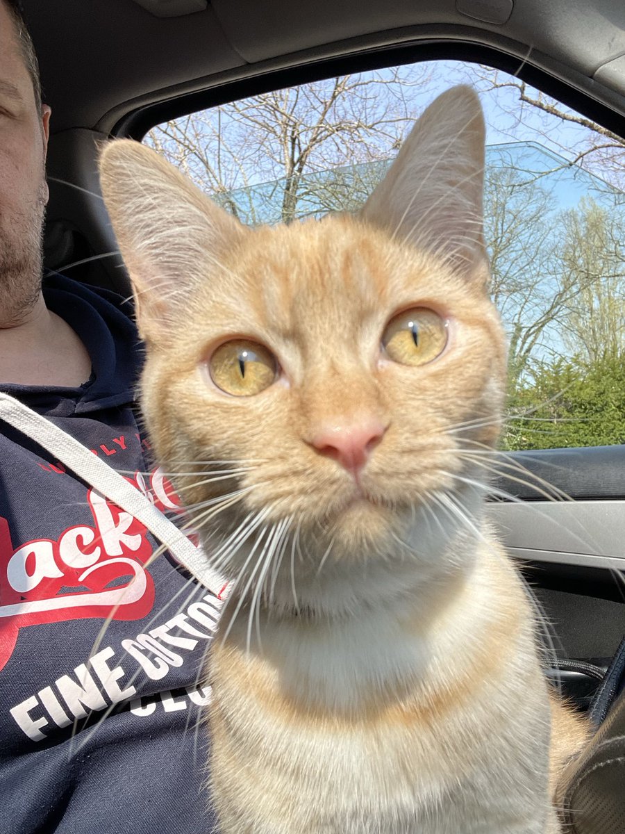 ⭐ DAVID ⭐ tweet media