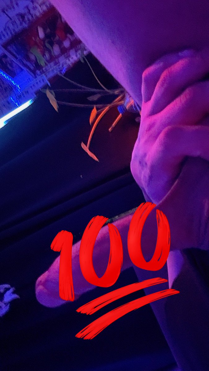 Nacho Escobar🌞 tweet media