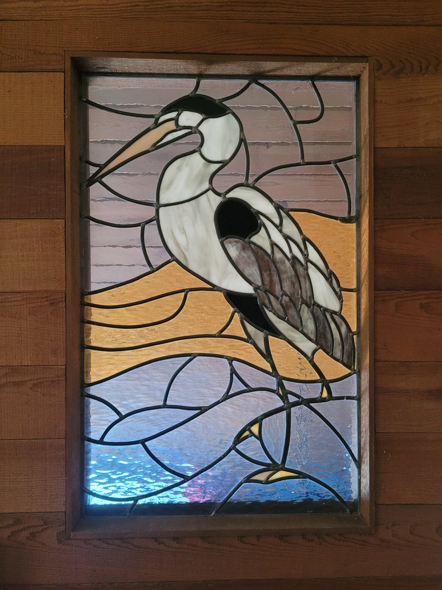 Trillian Spencer 🐳 tweet media