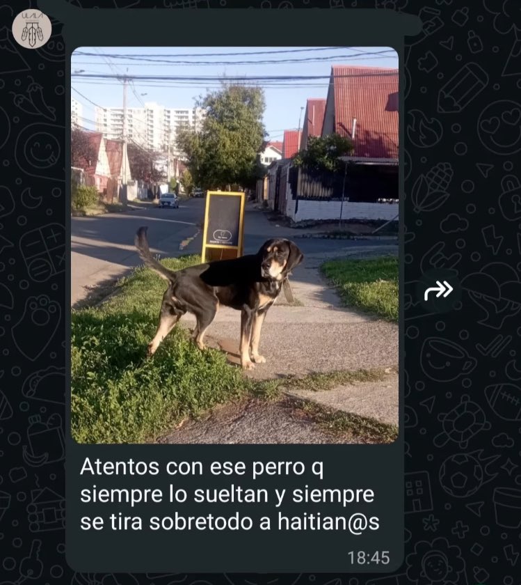 juan josafat ben-ezra tweet media