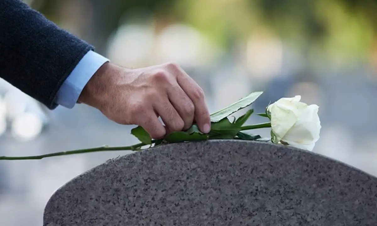 DR. PAULO FARIA tweet media