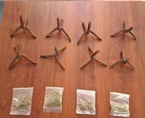 Policía Estatal del Estado de México tweet media