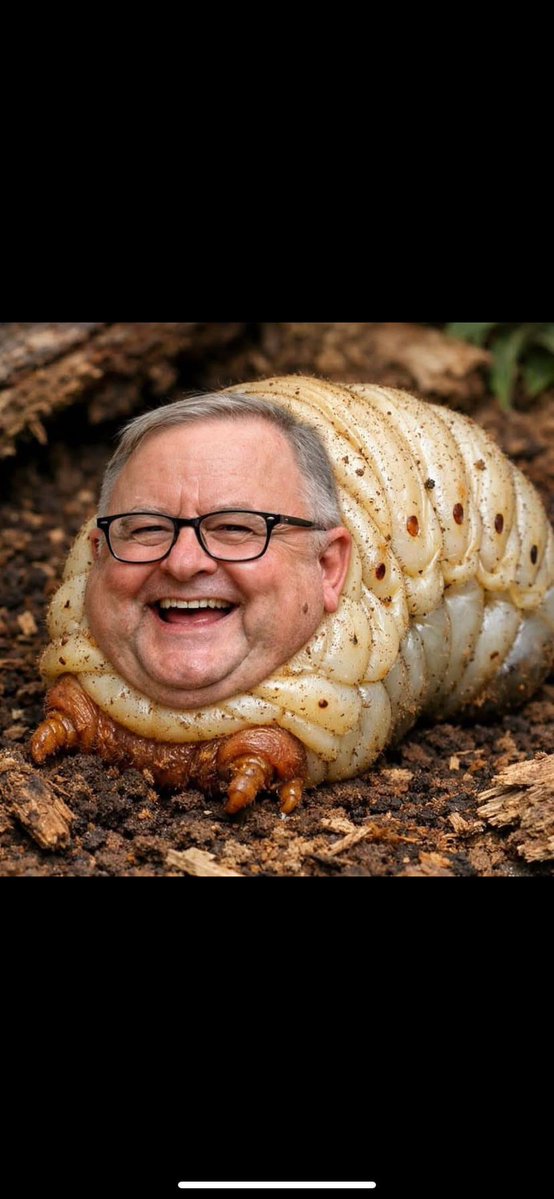 Bryan Carpenter tweet media