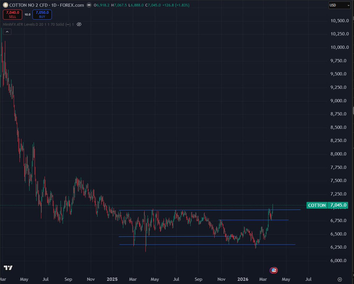 Tim Muirhead tweet media