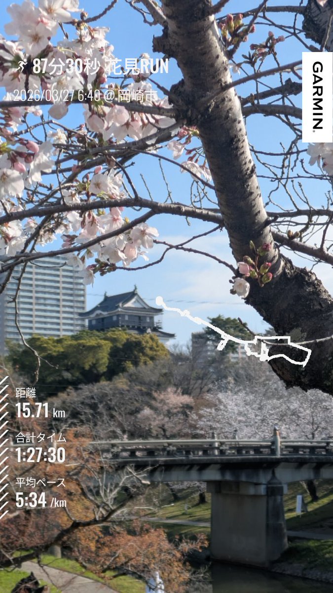 もも53号 tweet media