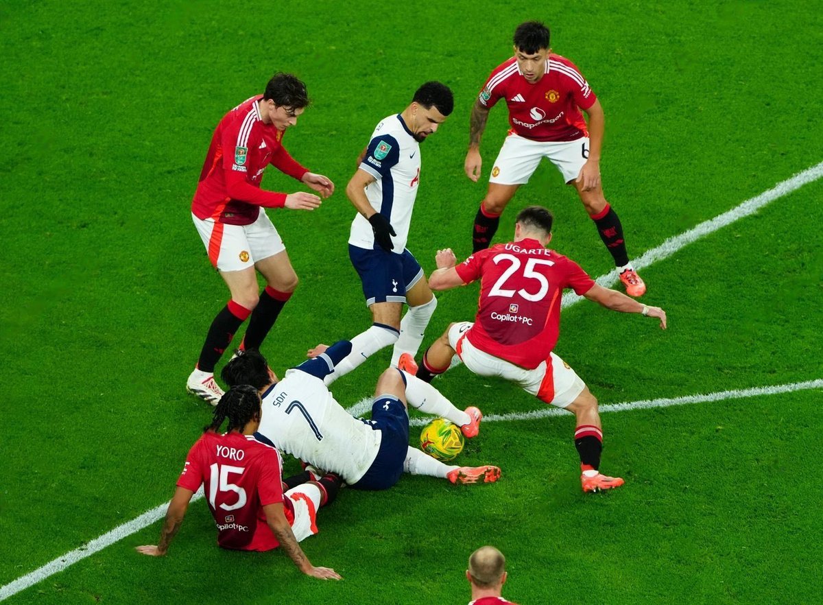 🌻ㅎㅁ곰곰🌷 tweet media