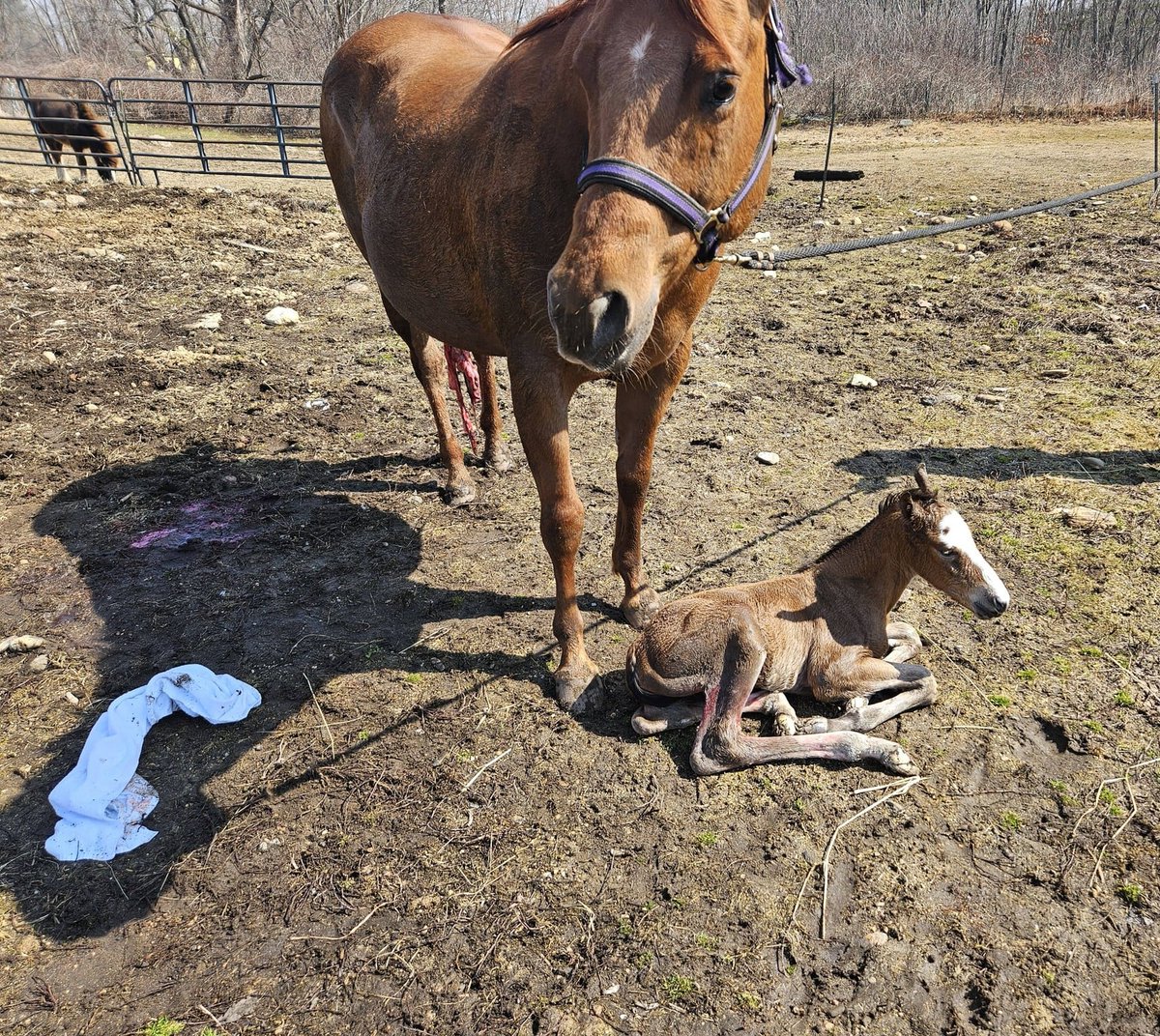 Mark Doherty tweet media