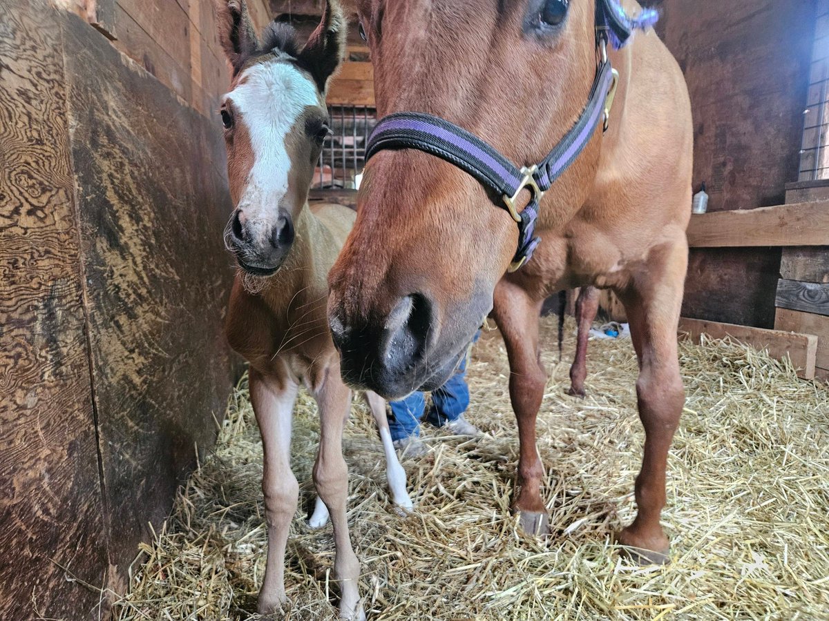 Mark Doherty tweet media