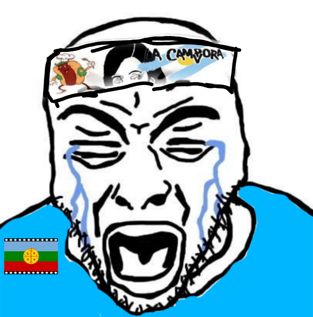 ᴛᴇʀʀᴏʀ ʙɪʟʟʏ 🧉🇦🇷 tweet media