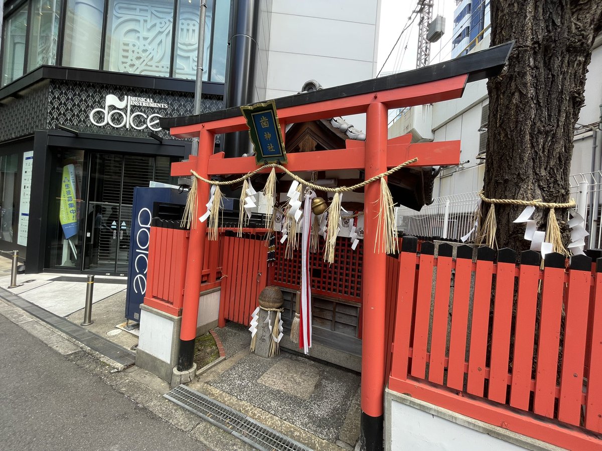 入江真太郎　Shintato Irie tweet media