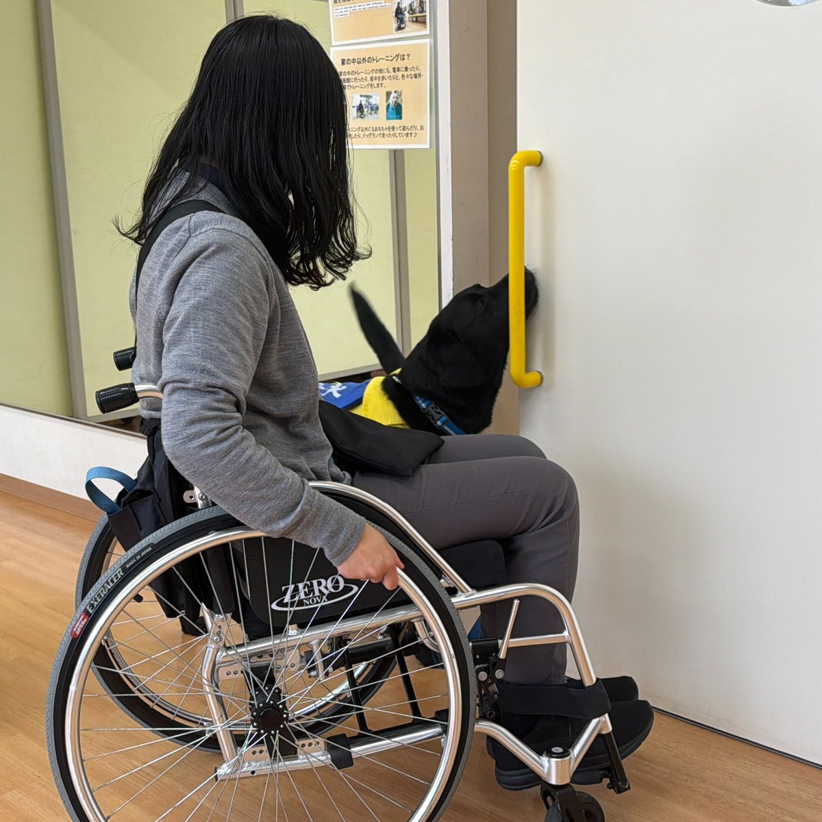 MSP株式会社 tweet media