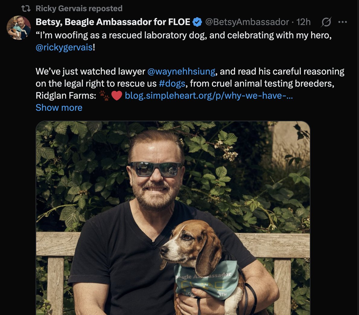 Wayne Hsiung tweet media