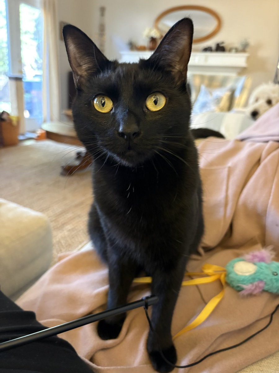 🇺🇦HumpDayHashTags🐫 BLM #VoteBlue 🇺🇦 tweet media