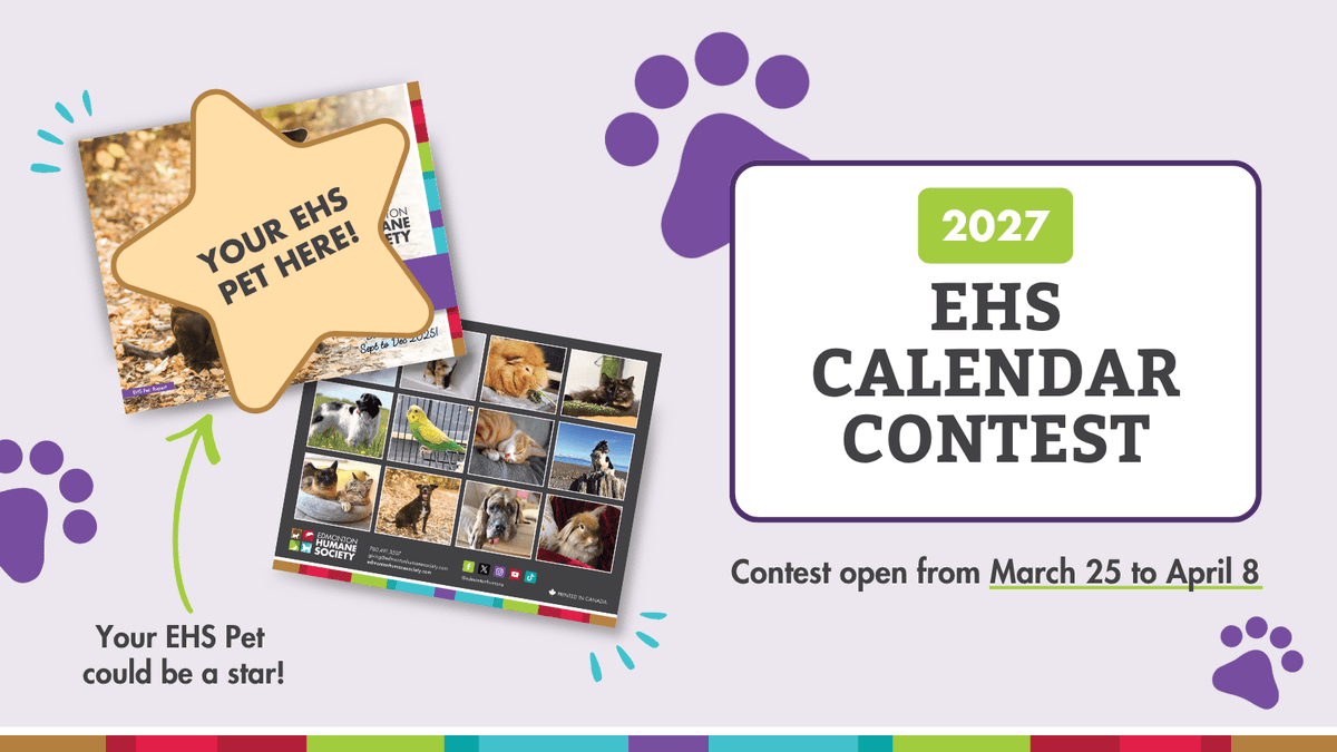 Edmonton Humane Society tweet media