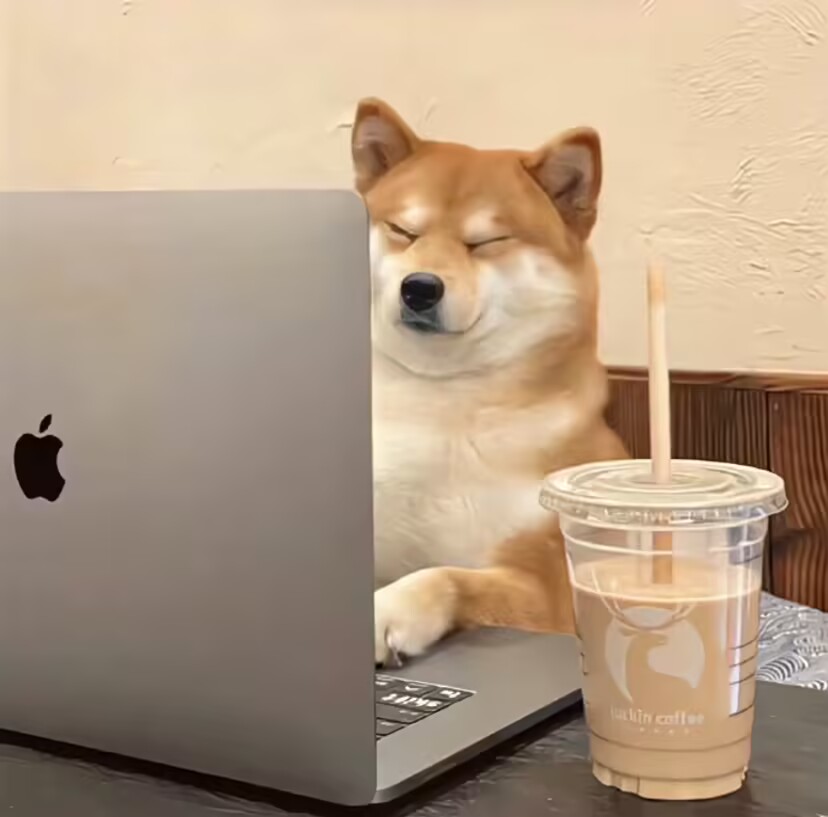 💜YIXIN💜 tweet media