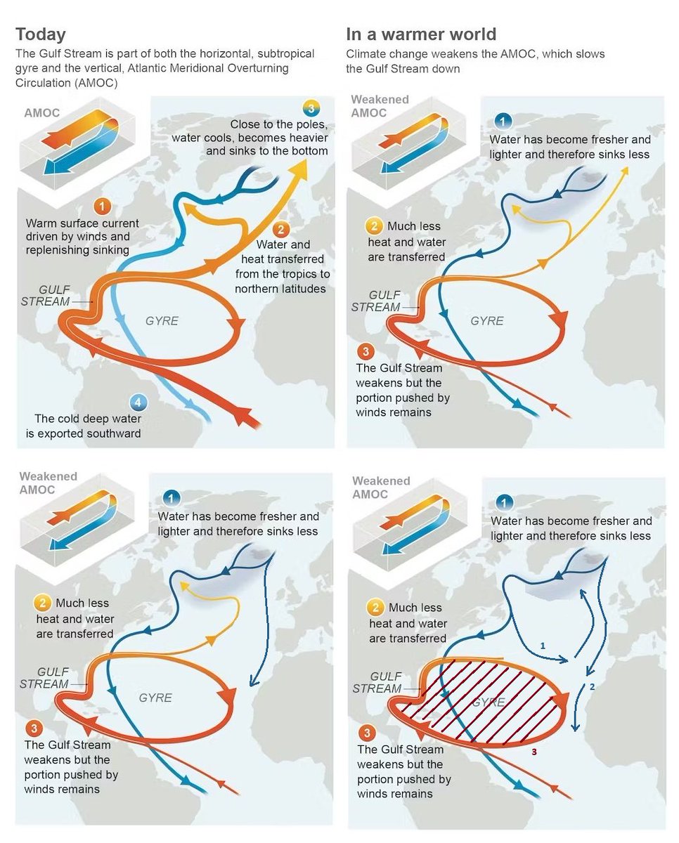 Sebastian Tyszuk tweet media