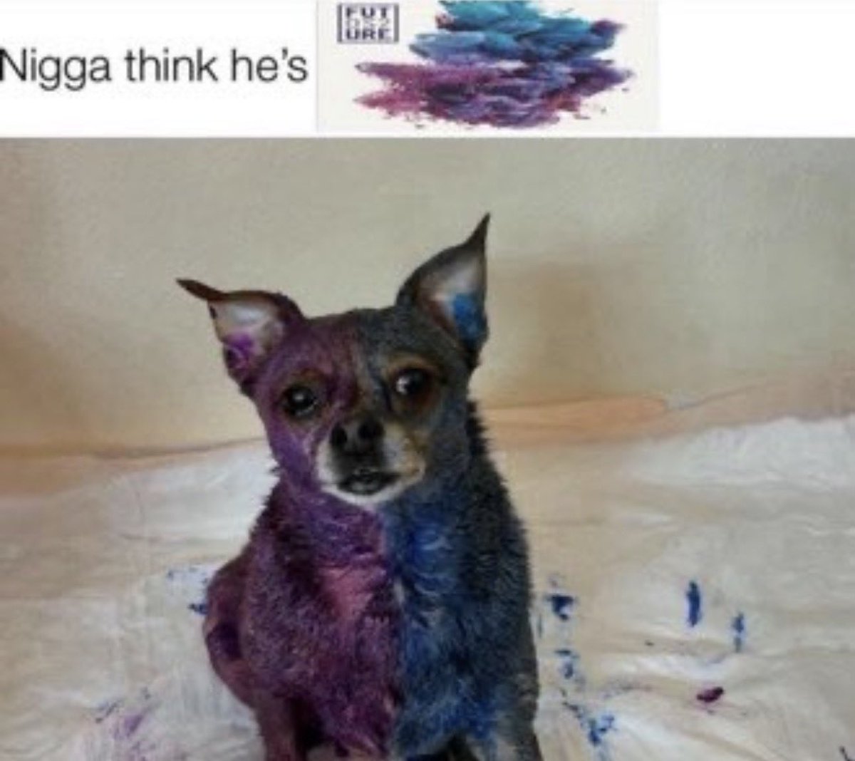 bloutgoggles tweet media