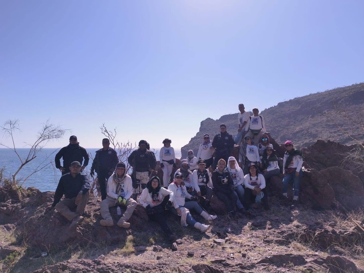 LuisCardenasMX tweet media