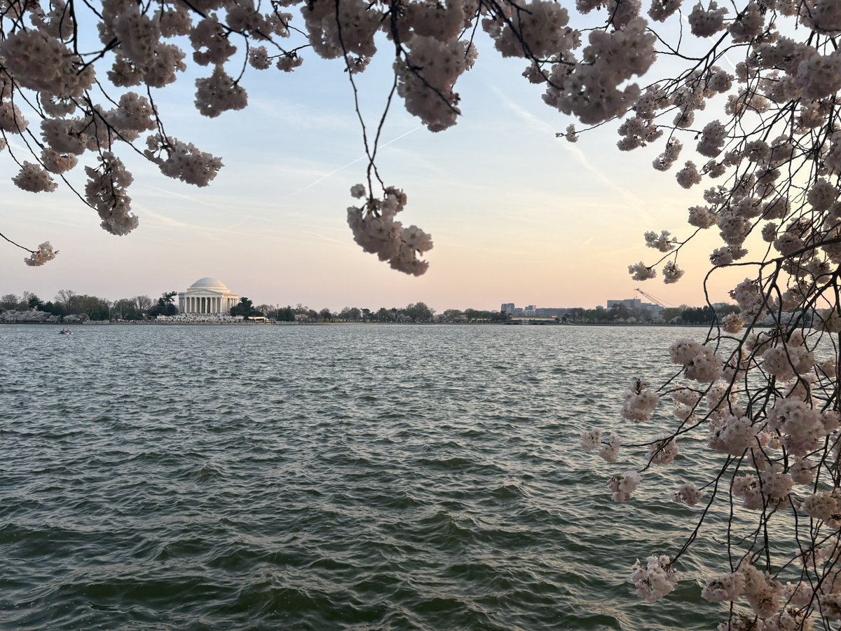 Rebecca Lowe tweet media