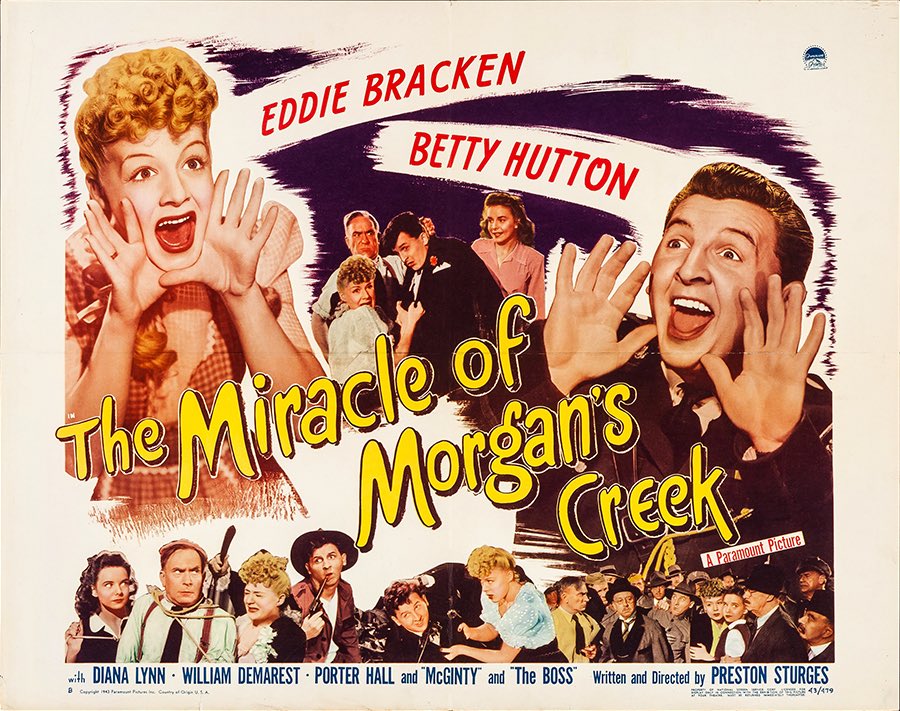 GingerCååt 🎥👻🐈🐈⬛🐈🐈⬛ tweet media