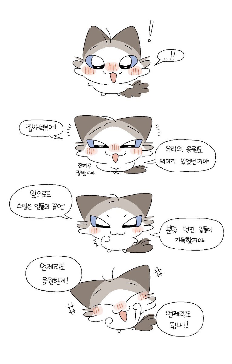 딩딩이! ..베레 tweet media