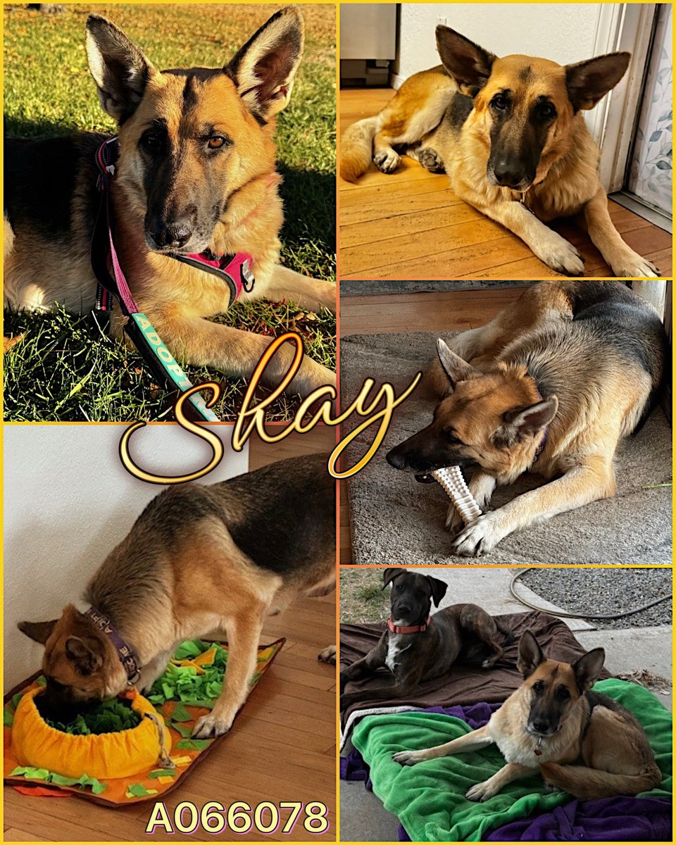 Malimum 🇩🇪 tweet media