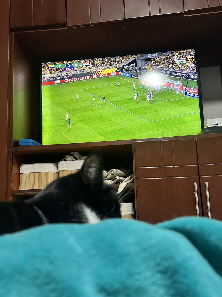 carlcaba's tweet photo. Viendo el partido en la mejor compañía 😺😺
#FutbolRCN @DeportesRCN https://t.co/zF7YI5P9Vb