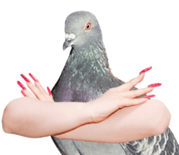 SRVAL's tweet photo. these pigeons literally got hands😅

#ChallengersNA https://t.co/YMXQdbmjEE
